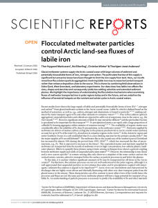 Flocculated meltwater particles control Arctic land-sea fluxes of labile iron www.nature.com/scientificreports