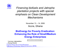 Financing biofuels and Jatropha plantation projects with special emphasis on Clean Development Mechanisms