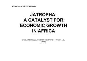JATROPHA: A CATALYST FOR ECONOMIC GROWTH IN AFRICA