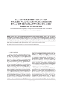 State of macrobenthoS within romanian black Sea continental Shelf Modiolus Phaseolinus T