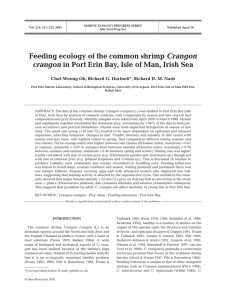 Feeding ecology of the common shrimp Crangon crangon