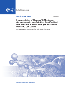 Application Note Implementation of Mustang Q Membrane Chromatography as a Polishing Step (Residual