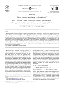 Plant biotin-containing carboxylases Basil J. Nikolau, John B. Ohlrogge, and Eve Syrkin Wurtele