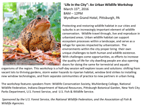 Life In the City”: An Urban Wildlife Workshop  March 15 , 2016