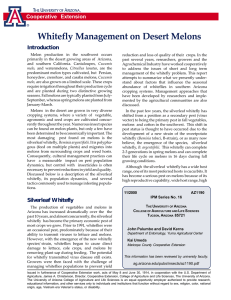 Whitefly Management on Desert Melons Cooperative Extension Introduction