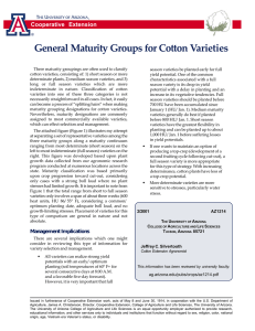 General Maturity Groups for Cotton Varieties Cooperative Extension