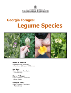 Legume Species  Georgia Forages: