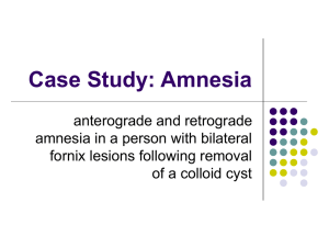 Case Study: Amnesia