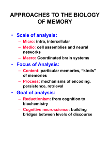 APPROACHES TO THE BIOLOGY OF MEMORY Scale of analysis: Focus of Analysis: