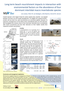 Long term beach nourishment impacts in interaction with