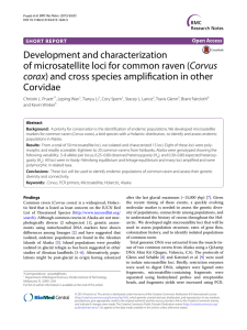 Development and characterization Corvus Corvidae corax