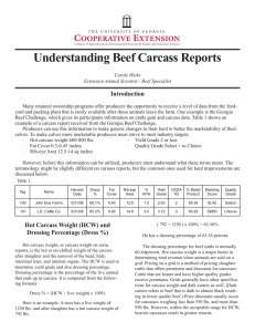 Understanding Beef Carcass Reports Introduction