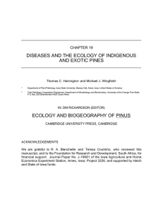 DISEASES AND THE ECOLOGY OF INDIGENOUS AND EXOTIC PINES CHAPTER 19