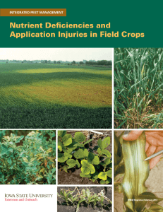 Nutrient Deficiencies and Application Injuries in Field Crops INTEGRATED PEST MANAGEMENT