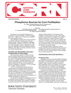 Phosphorus Sources for Corn Fertilization NATIONAL CORN HANDBOOK