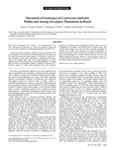 Ceratocystis fimbriata Eucalyptus Ecology and Epidemiology