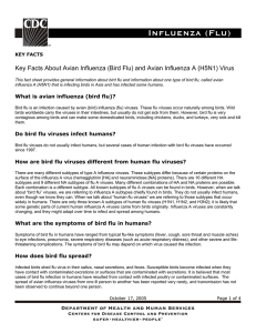 Key Facts About Avian Influenza (Bird Flu) and Avian Influenza... KEY FACTS