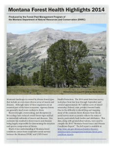 Montana Forest Health Highlights 2014