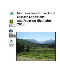 Montana Forest Insect and Disease Conditions and Program Highlights 2013