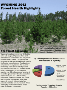 WYOMING 2012 Forest Health Highlights The Forest Resources