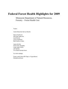 Federal Forest Health Highlights for 2009 Minnesota Department of Natural Resources,