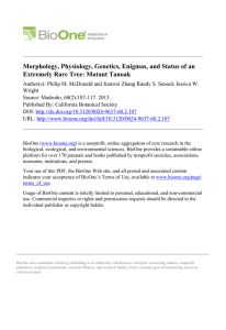Morphology, Physiology, Genetics, Enigmas, and Status of an