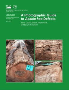 A Photographic Guide Acacia koa Eini C. Lowell, Janice K. Wiedenbeck,