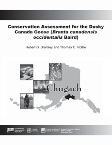 Conservation Assessment for the Dusky Branta canadensis occidentalis