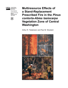 Multiresource Effects of a Stand-Replacement Pinus Vegetation Zone of Central