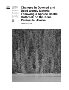 Changes in Downed and Dead Woody Material Following a Spruce Beetle