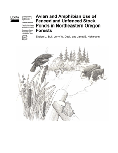 Avian and Amphibian Use of Fenced and Unfenced Stock Forests