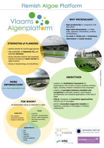 Flemish Platform  Algae