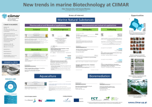 New trends in marine Biotechnology at CIIMAR  Marine Natural Substances