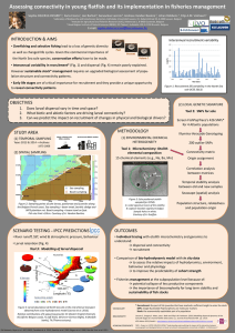Assessing connectivity in young flatfish and its implementation in fisheries...
