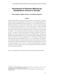 Development of Detection Methods for Phytophthora ramorum Pauline Spaine , William Otrosina