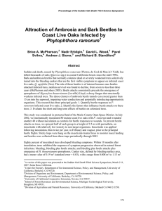 Attraction of Ambrosia and Bark Beetles to  Phytophthora