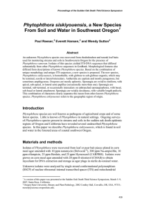 Phytophthora siskiyouensis From Soil and Water in Southwest Oregon  Paul Reeser,