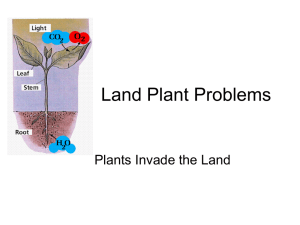 Land Plant Problems Plants Invade the Land