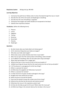 morrill scholarship essay help morrill scholarship essay help