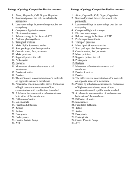 Printables Diffusion And Osmosis Worksheet Answers diffusion and osmosis worksheet answer key biology key