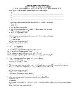 Punnett square homework help