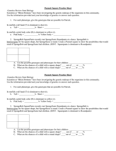 Punnett Square Practice Sheet -Genetics Review from Biology