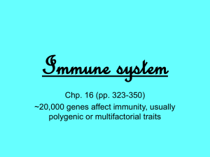 Immune system Chp. 16 (pp. 323-350) ~20,000 genes affect immunity, usually