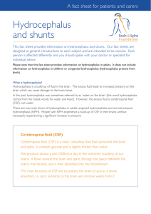Hydrocephalus and shunts A fact sheet for patients and carers