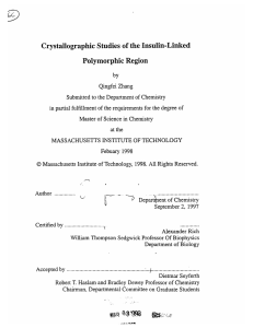 Crystallographic Studies  of the Insulin-Linked Polymorphic  Region