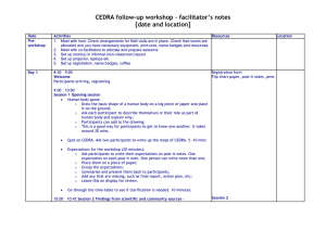 CEDRA follow-up workshop – facilitator’s notes [date and location]