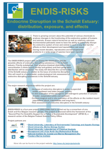 ENDIS-RISKS Endocrine Disruption in the Scheldt Estuary: distribution, exposure, and effects