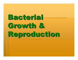 Bacterial Growth &amp; Reproduction