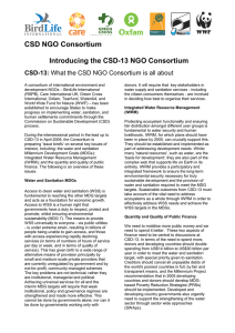 CSD NGO Consortium Introducing the CSD-13 NGO Consortium CSD-13: