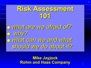 Risk Assessment 101 what are we afraid of? why?